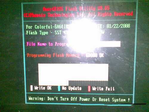 1483930286956811.jpg 9.jpg