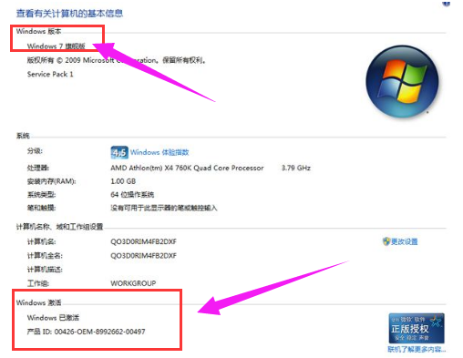 激活工具 激活工具