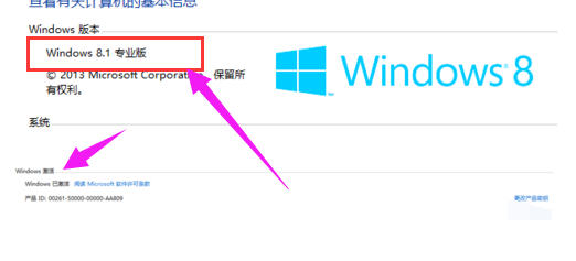 專(zhuān)業(yè)版
