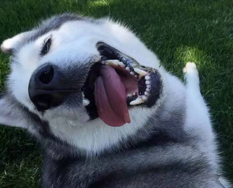 激活失敗 激活失敗