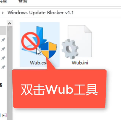 專(zhuān)業(yè)版