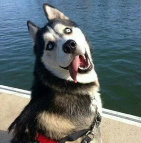 筆記本關(guān)機