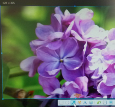 截屏快捷鍵是什么 截屏快捷鍵是什么