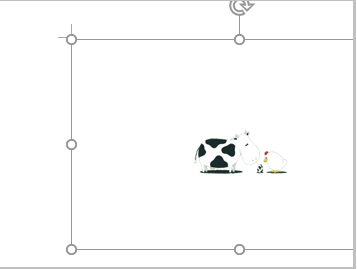 1635988090105260.png image.png