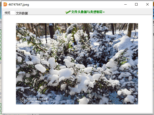 1631842072109429.png image.png