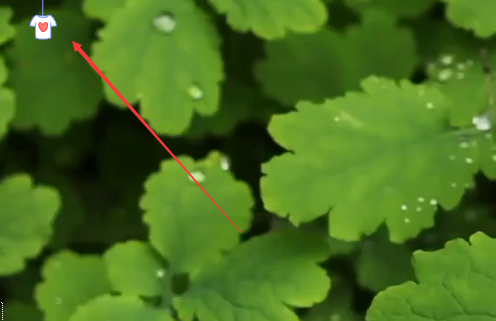 動態(tài)桌面 動態(tài)桌面