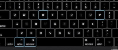 蘋果電腦 蘋果電腦