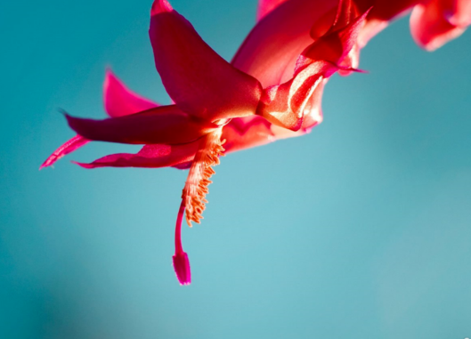 電腦如何更換主題