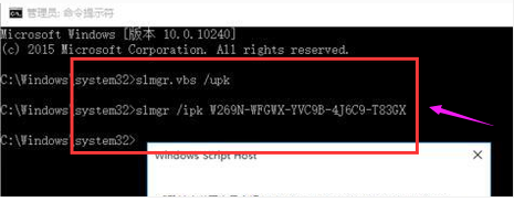 專業(yè)版 專業(yè)版