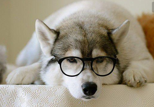 沒有聲音 沒有聲音