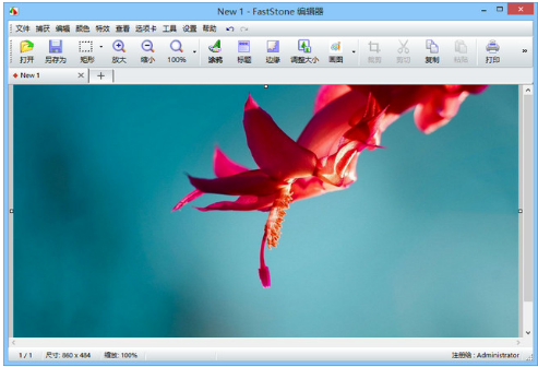 電腦截圖 電腦截圖