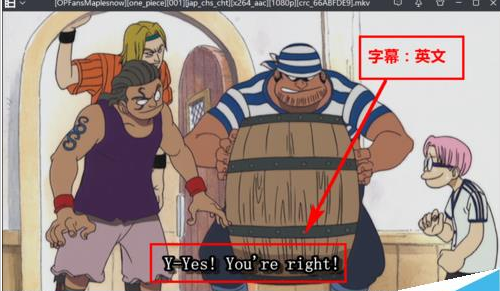 暴風(fēng)影音字幕