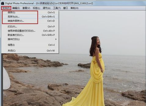 佳能相機文件 佳能相機文件