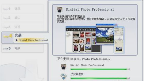 打開cr2文件 打開cr2文件