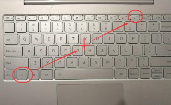 1637632393591170.png image.png